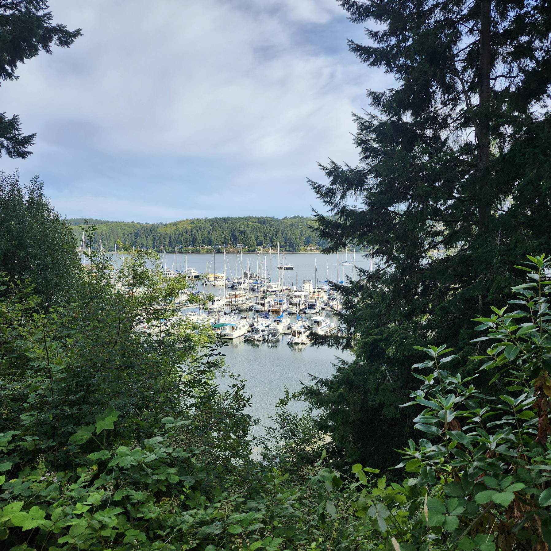 Voyage_8D270566-DCBD-4E0B-A9C1-D6B5CBEAE245