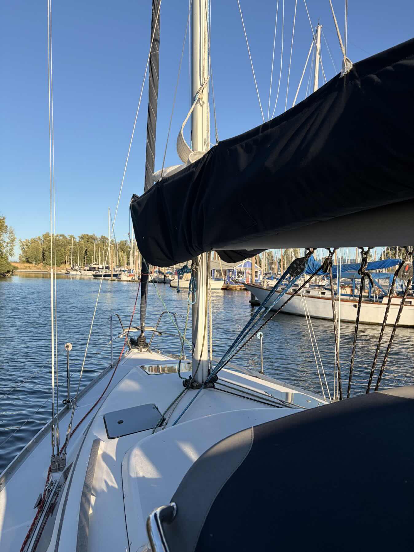 Voyage_ED865783-4A0E-4139-884F-6A1F5638C722