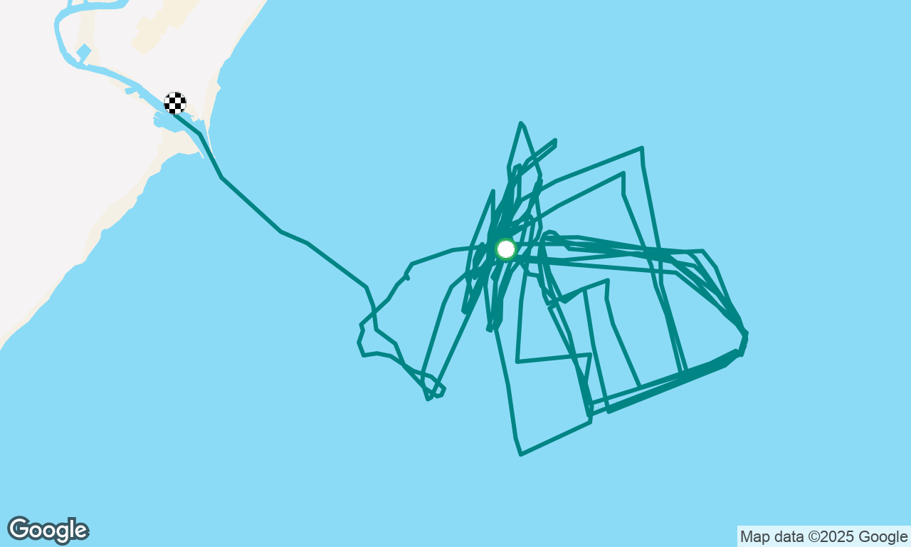 OC regatta