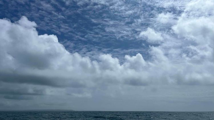 Voyage photo from A slow downwind sail against the tide