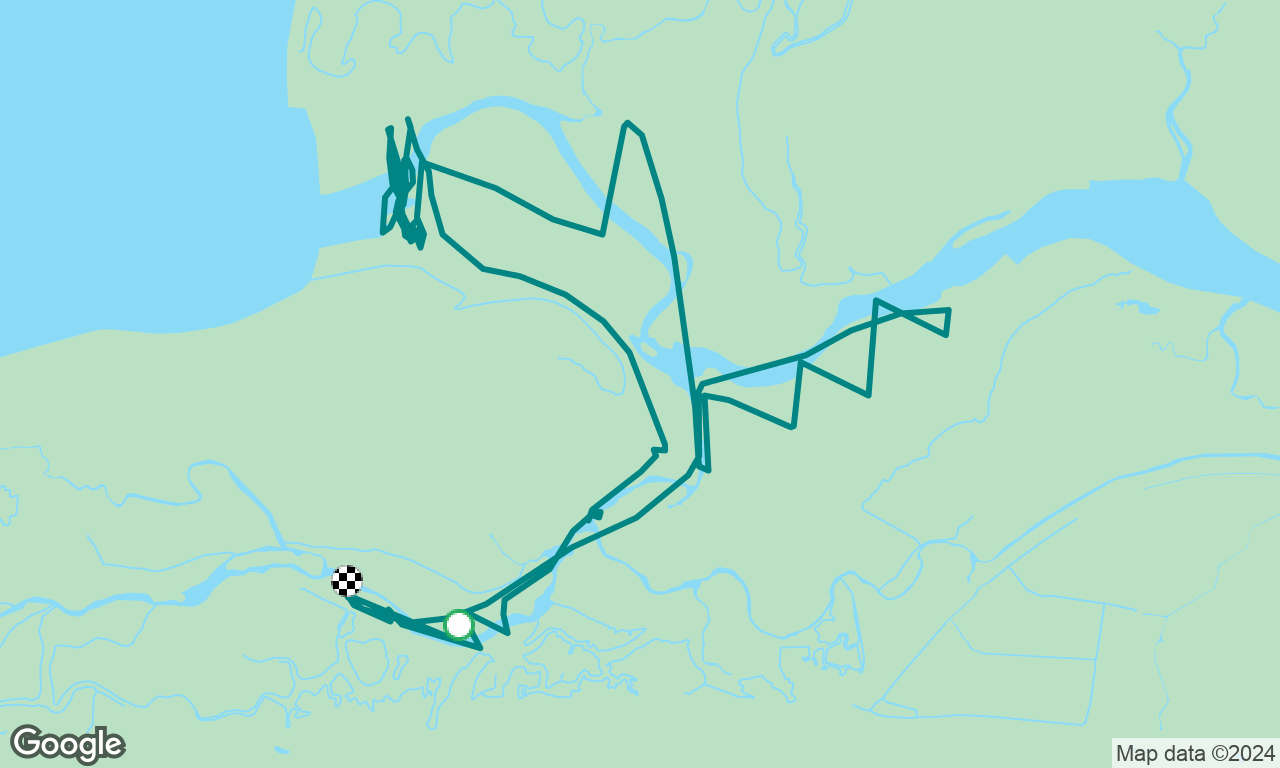 Cockle Race 1