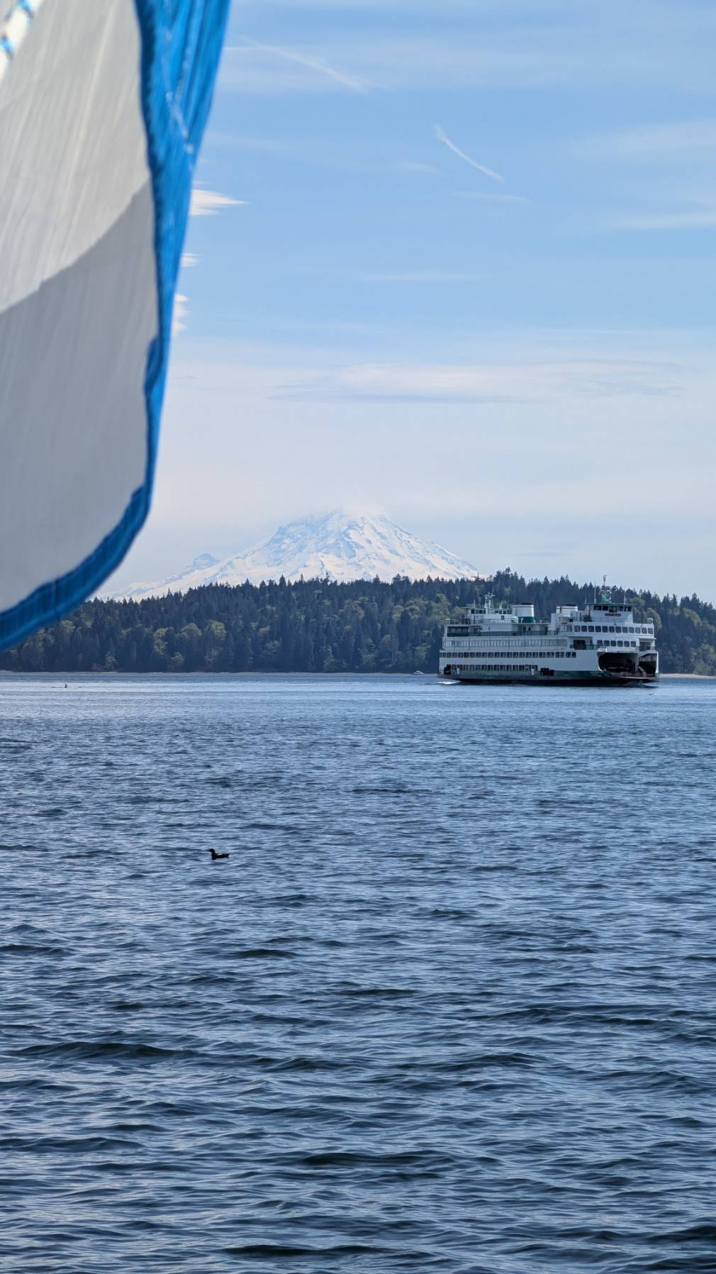 Circumnavigating Bainbridge _0A15BD9D-C4D5-474A-8FE1-F49168F438BE