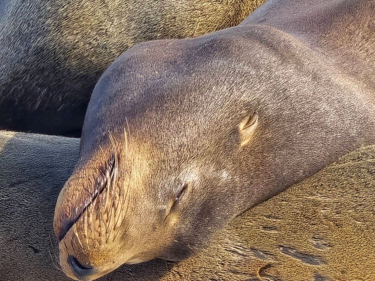 Voyage photo from sp5 with Fozii on 659