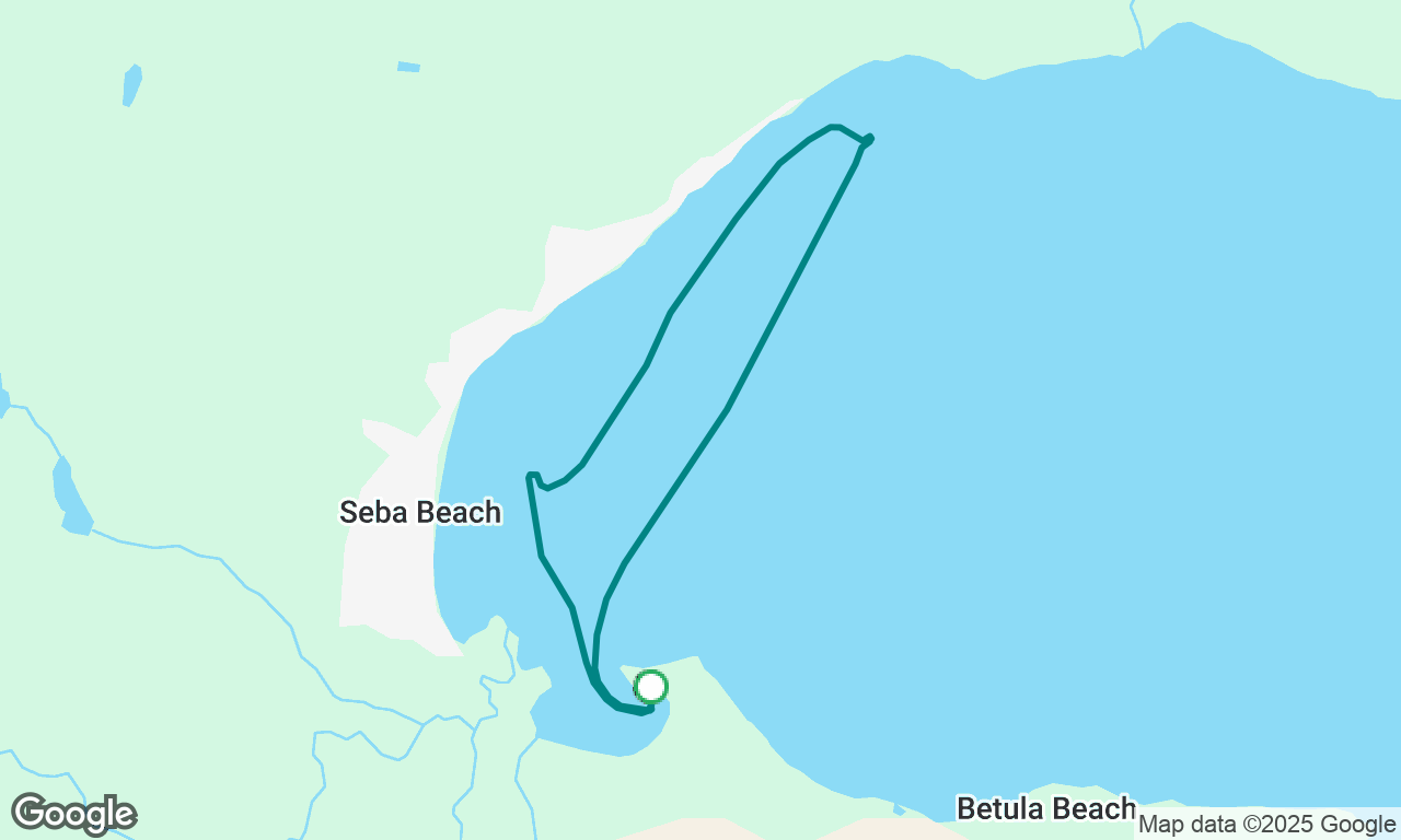 Swim Cruise