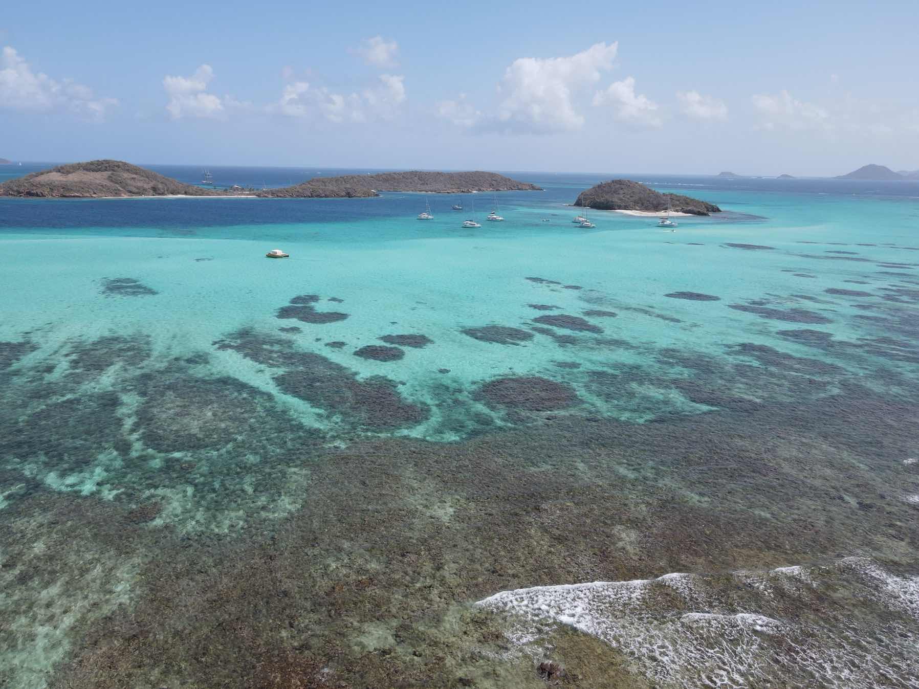 Mayreau to Tobago Caye_501DF4F8-2A70-475F-B426-3309B44D7D23
