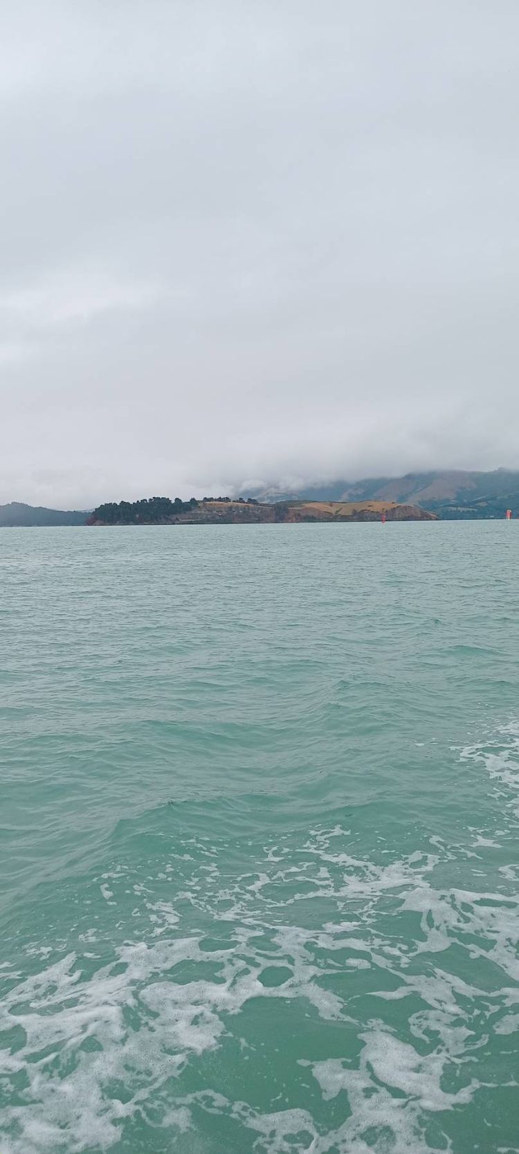 Voyage photo from Lyttelton to Akaroa