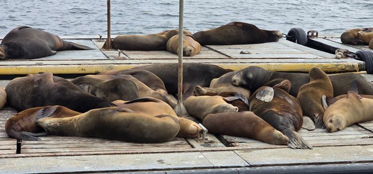 Voyage photo from emb with Scotty on 664