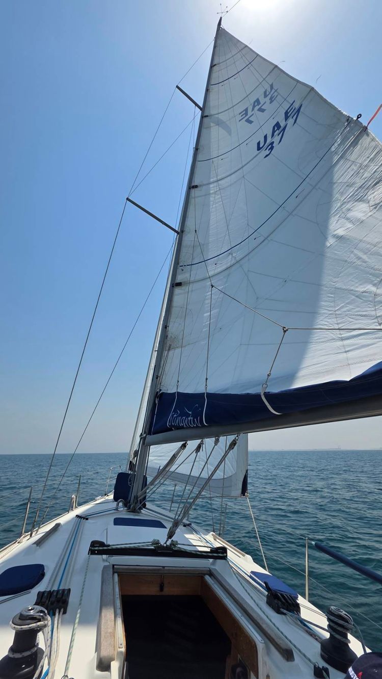 Voyage photo from DOSC to Al Hamriya