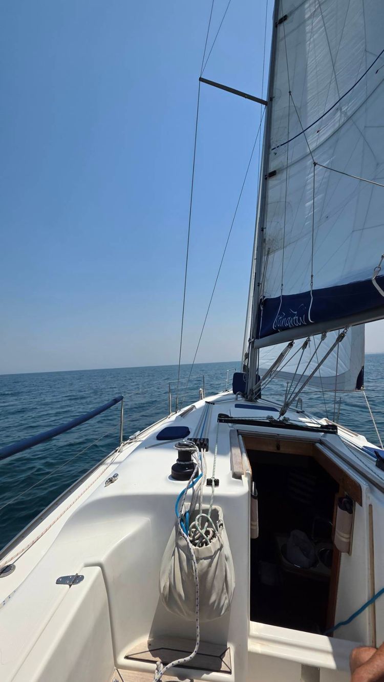 Voyage photo from DOSC to Al Hamriya