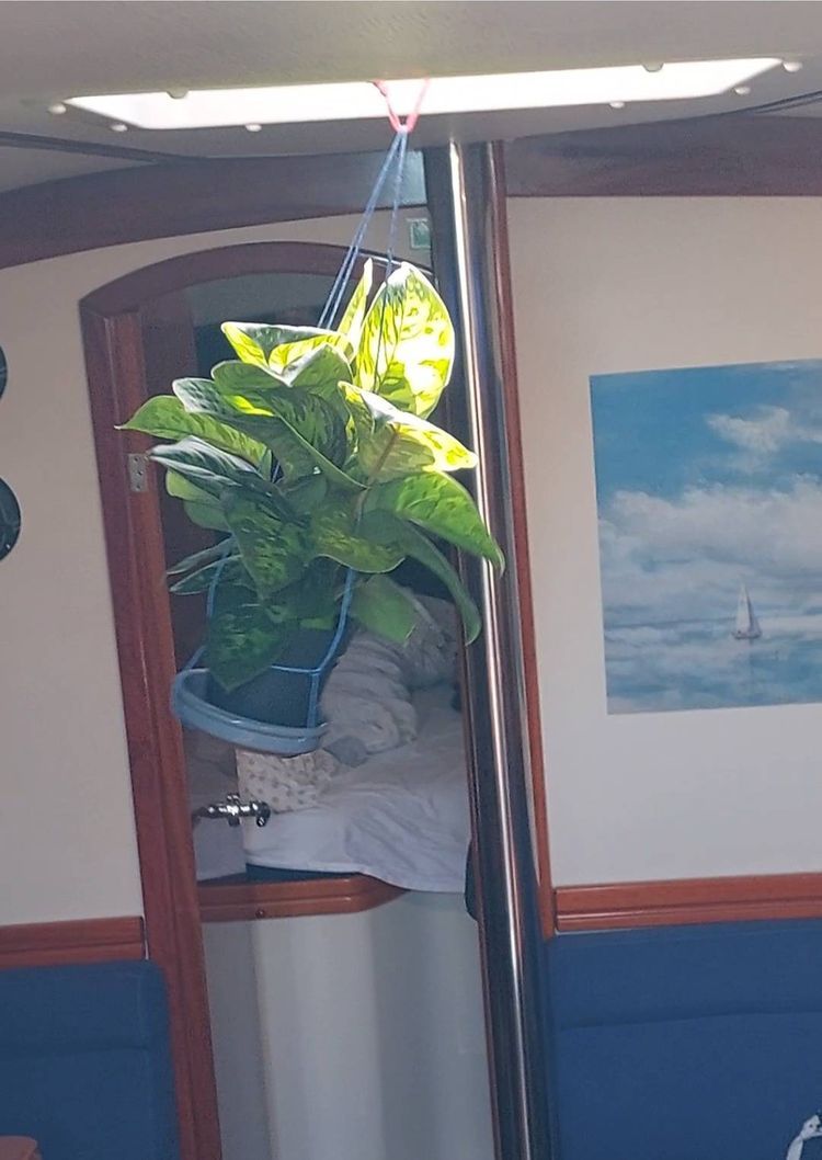 Voyage photo from Middelburg naar Oostende
