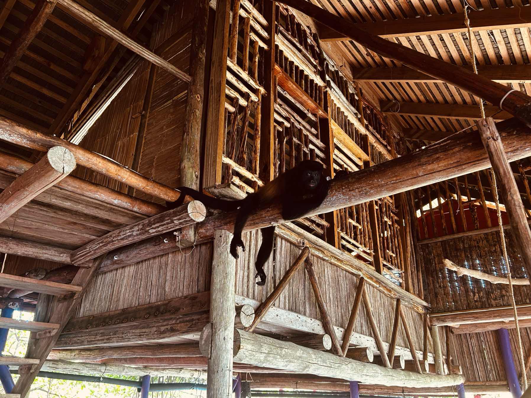 Monkey Island to Johnson Cay Anchorage Bocas PA _2472BBDD-8773-4940-861E-3FD0BCBD07F8