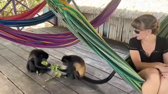 Monkey Island to Johnson Cay Anchorage Bocas PA _DE06A7EE-1C34-4425-A88A-9C7C4BC306D8