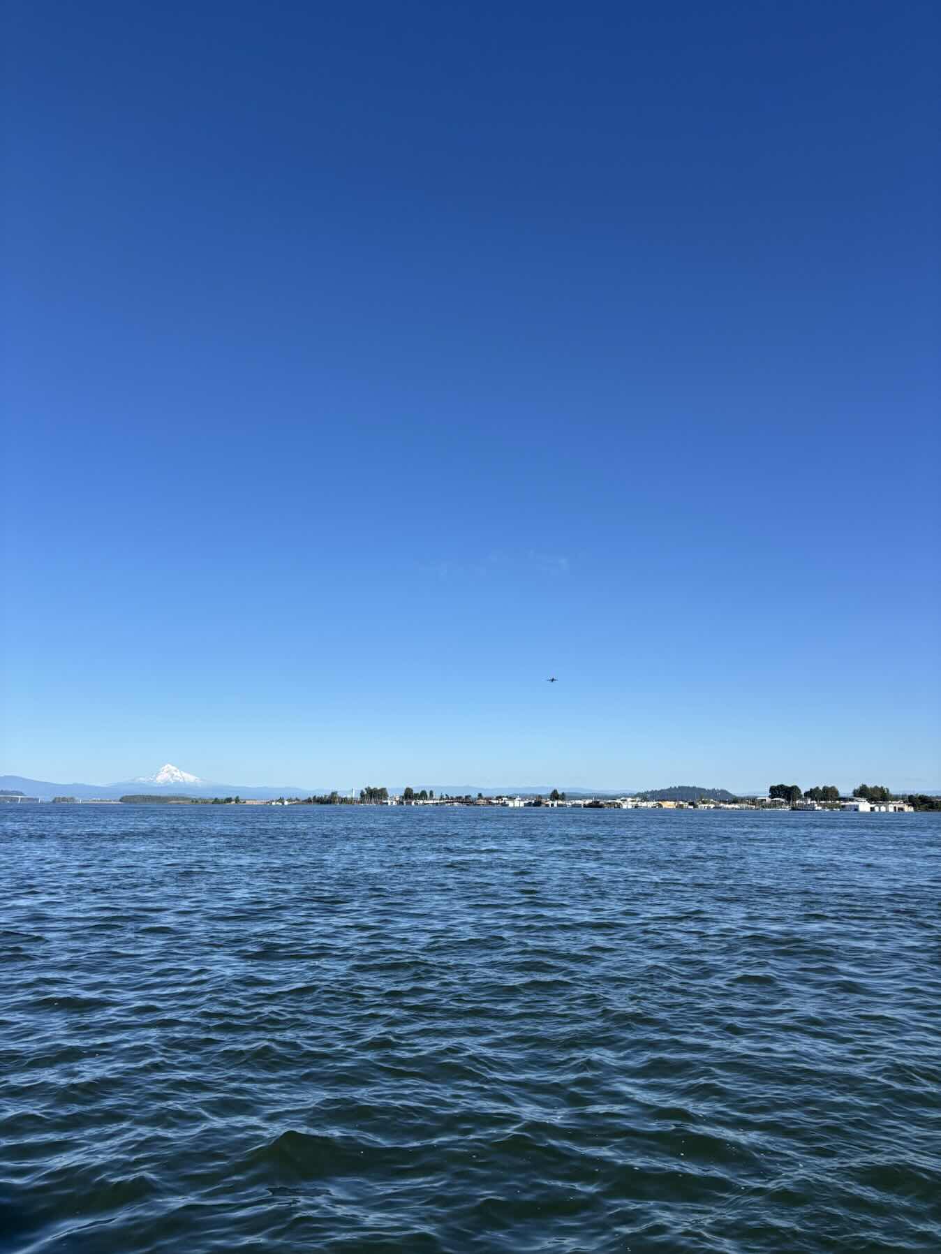 Portland yacht club summer race 1 & 2_DAFF7BA9-3AF5-495E-B5C7-394F6DD44609