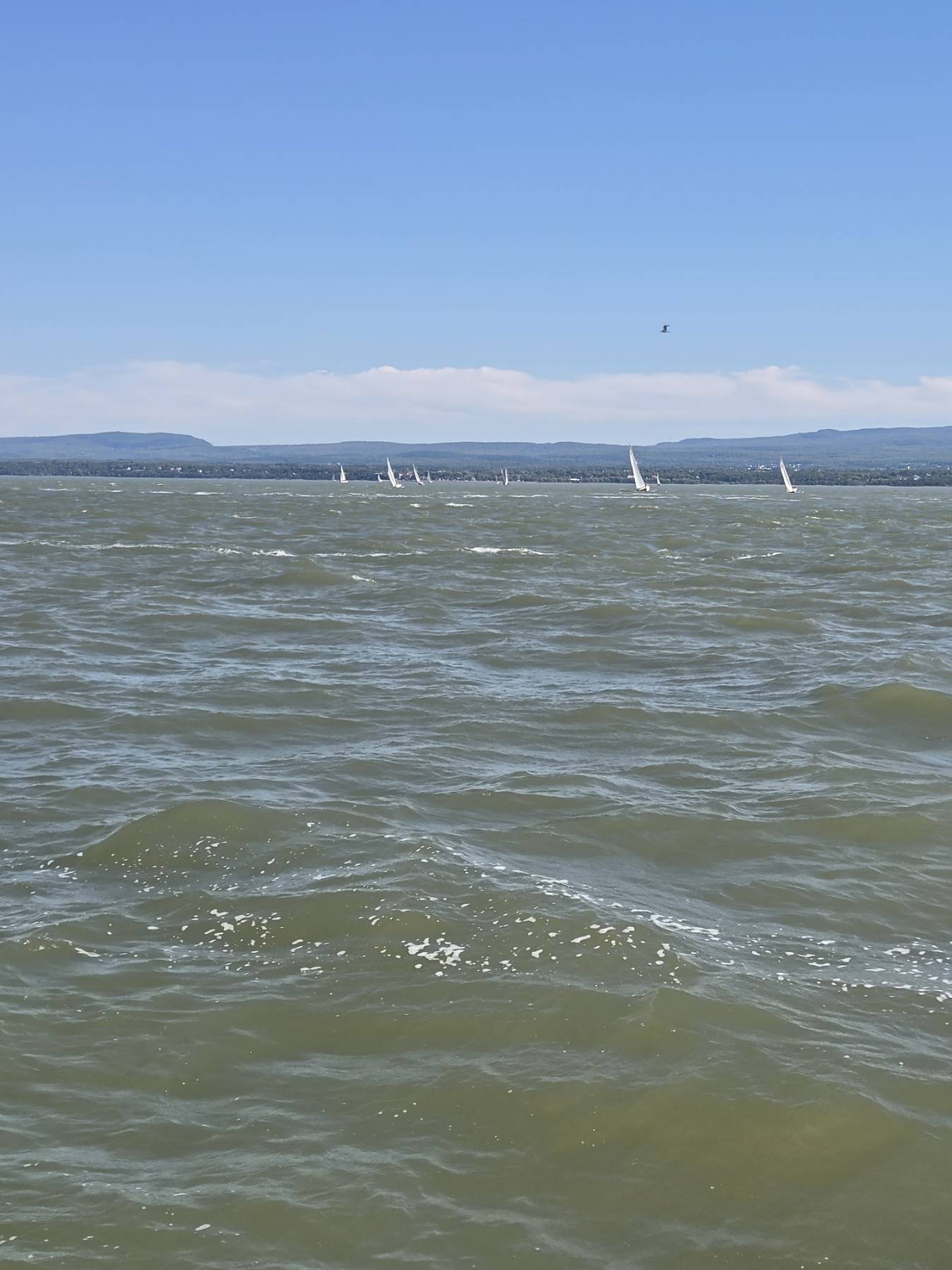 leg 3 Berthier-sur-Mer/cap à l'aigle _4C074EAD-35F1-4DBA-AF5B-AEEC0B21A410