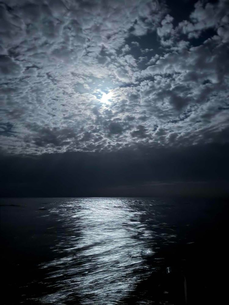 Voyage photo from To Agadir