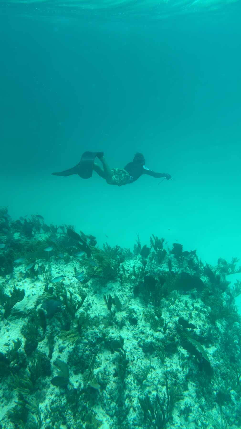 Powell Cay to Moraine Cay - full sail! _8A2C0678-4D7D-4C21-BDB6-398111F9E568