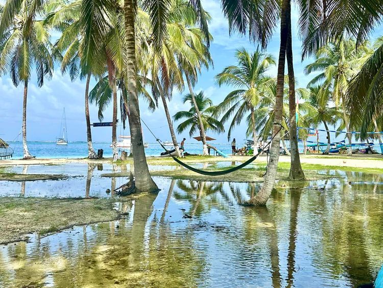 Voyage photo from Lemons to Swimming Pool