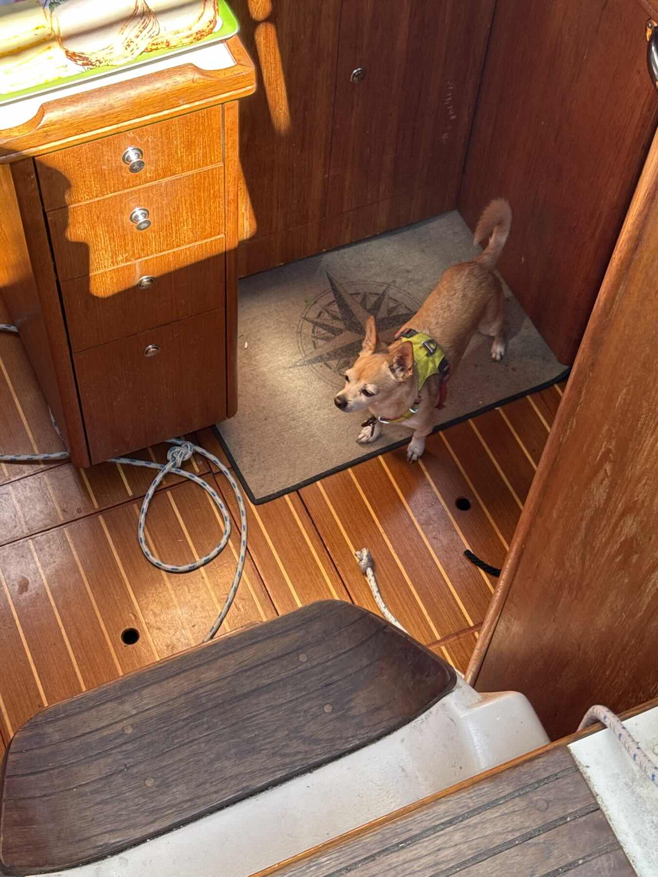 Day Sail_FCAA2971-8EF6-4263-A979-3BD65D451236