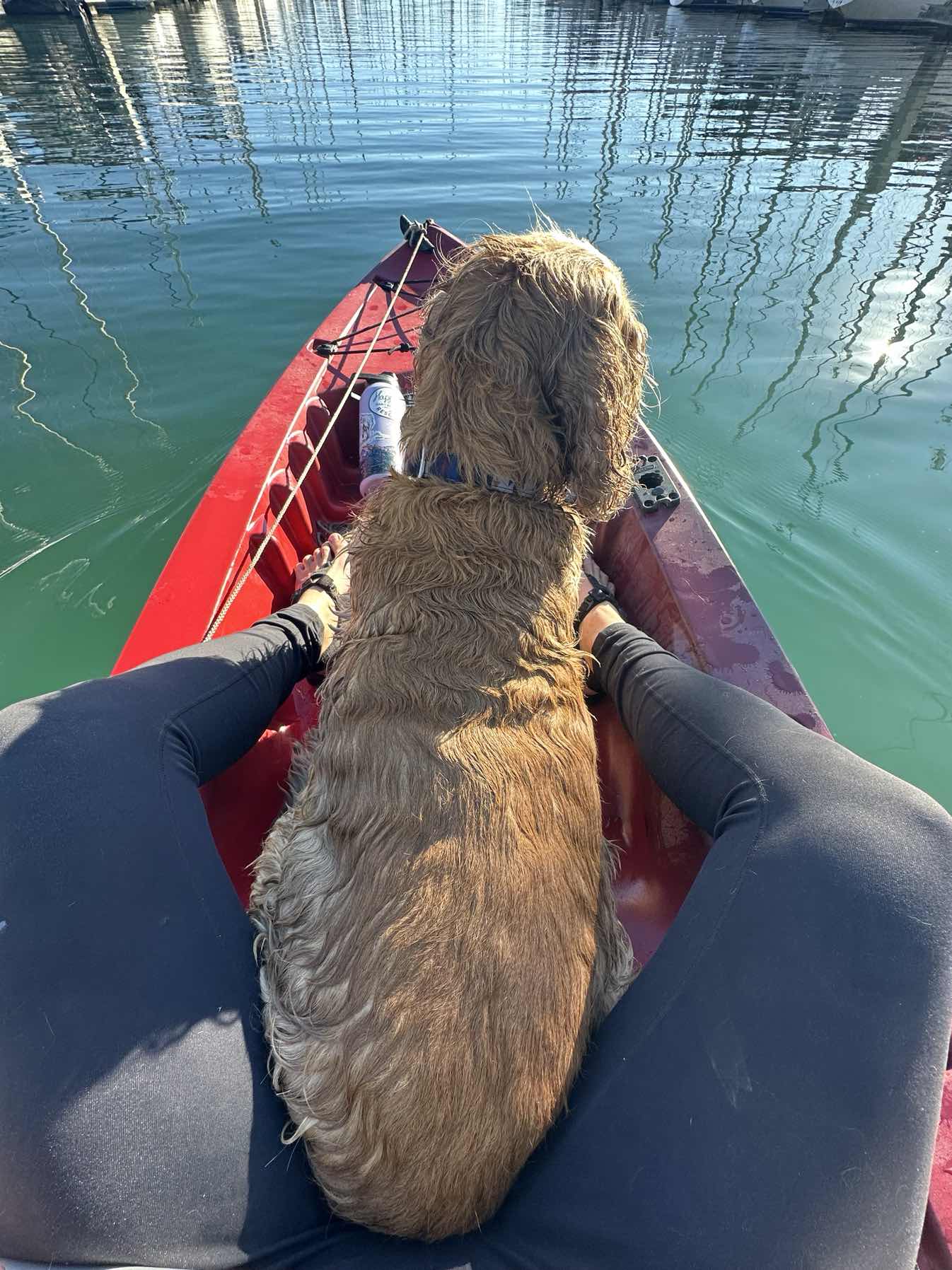 Afternoon paddle in Venture West Harbor with my sailing sister and her first mate. _7CA2B5A3-33CD-4FD4-BEC7-1445C94B8DC9