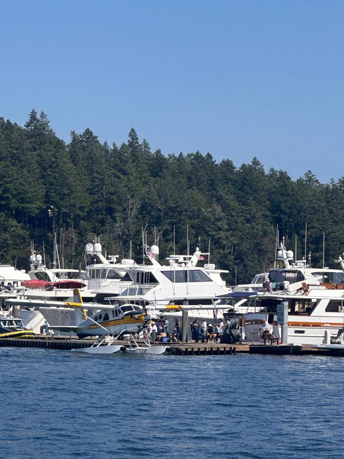 San Juan Islands (Day 3)_A8593FE5-87F7-4F97-AFF0-91256C5F7C3B