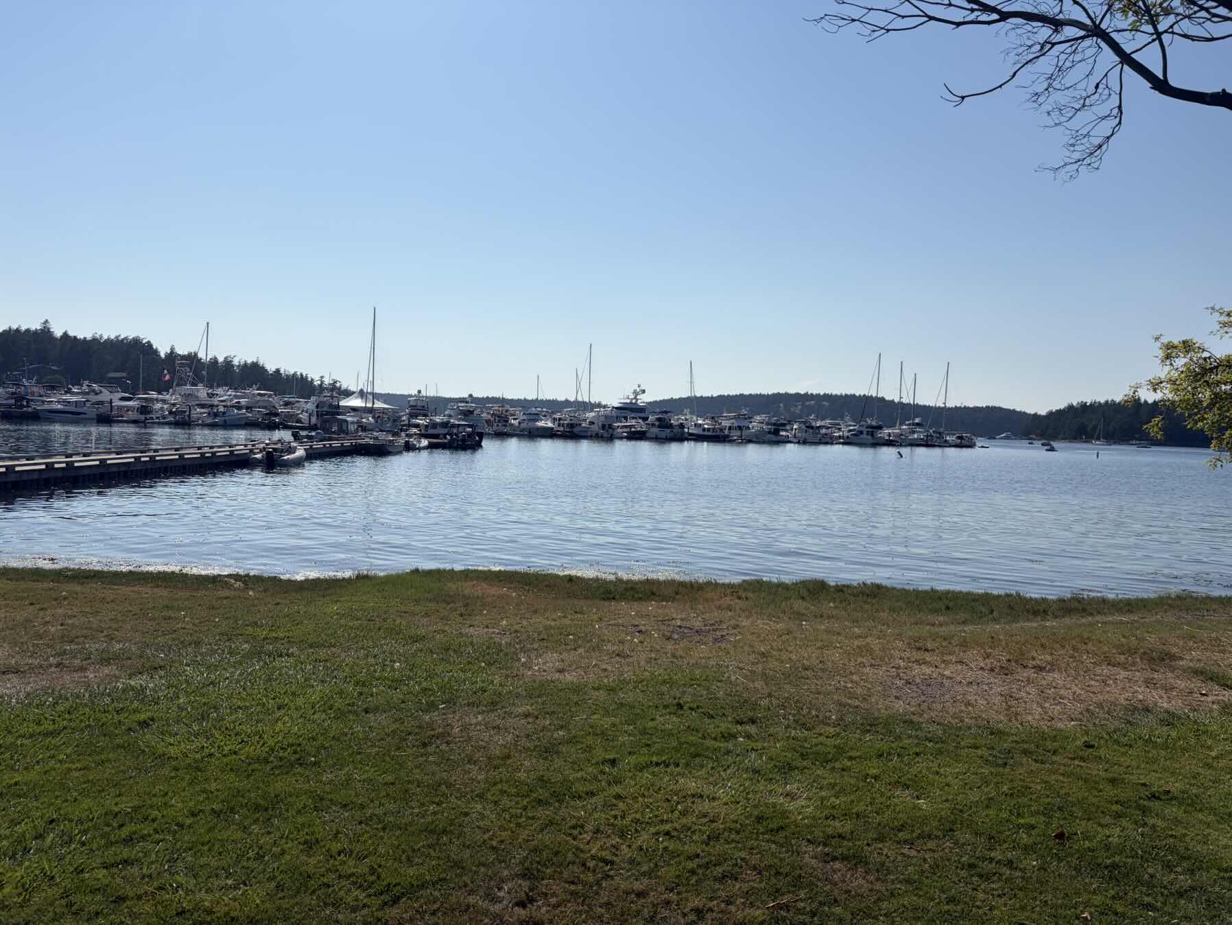 San Juan Islands (Day 3)_C8CA6D0D-A149-44B0-A1F8-75283181476B