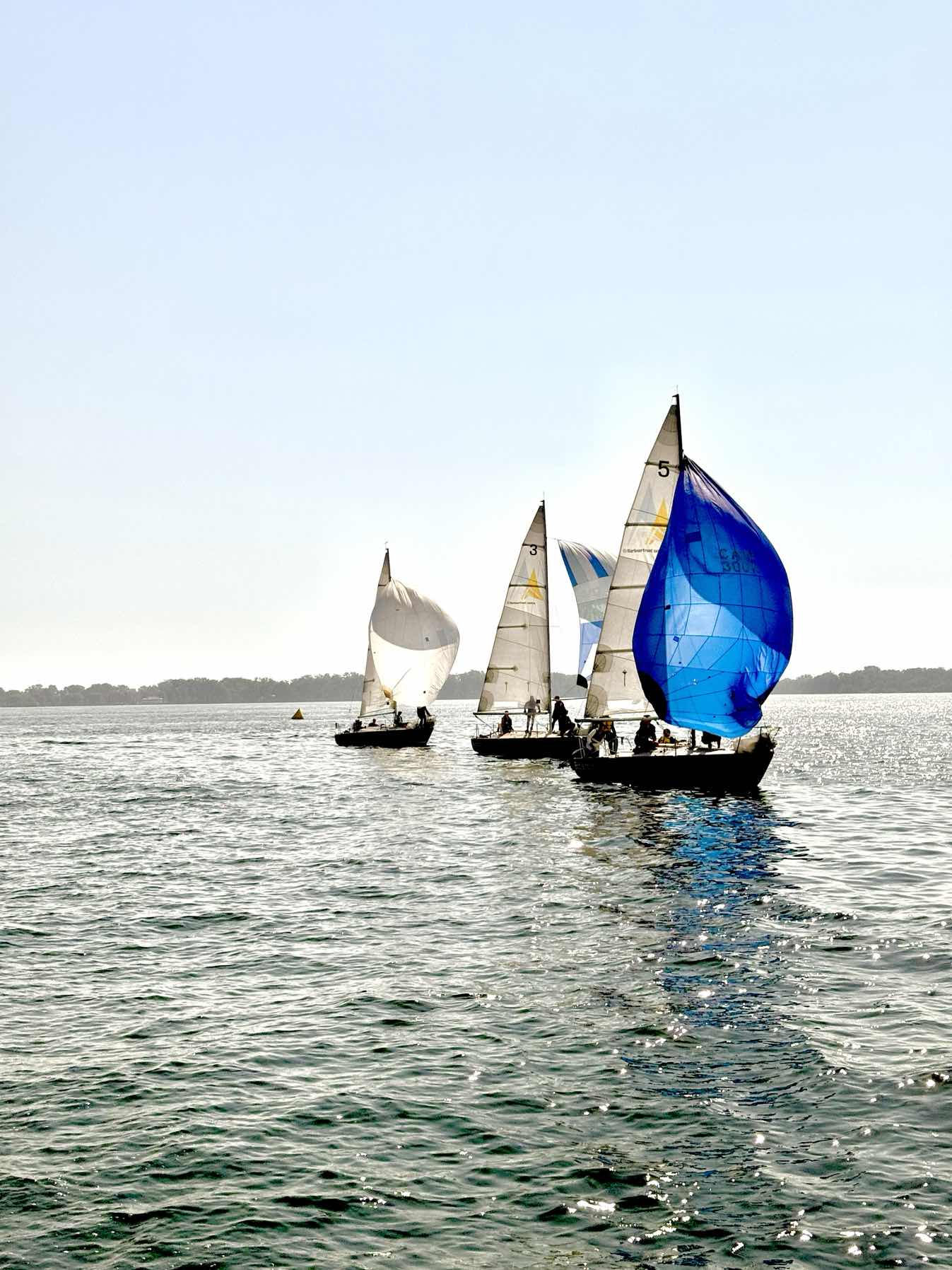 Sun. Year-end Race_C2992819-A4BD-4BCC-A6DD-B2189C66EC4C