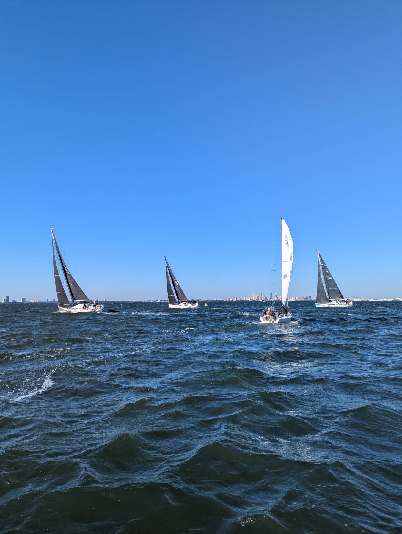 Regatta - Tampa - Davis Island Yacht Club_F7638E3B-857A-4449-BB64-6B0714DAA5BF