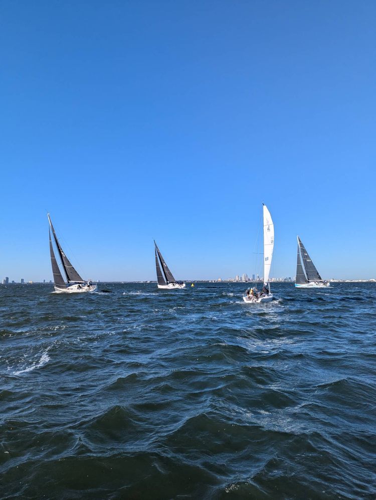 Voyage photo from Regatta - Tampa - Davis Island Yacht Club