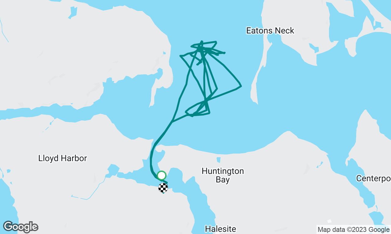 Day Sailing in Huntington Bay