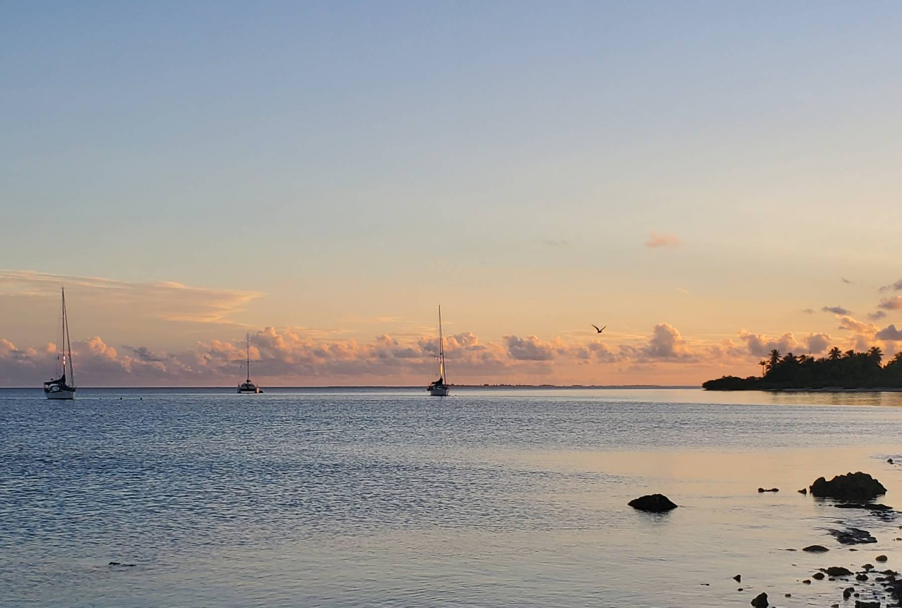 Rotoava,Fakarava- Hirifa, Fakarava (SE anchorage)_7E773D74-0A95-4C80-85AA-A21E56D75491