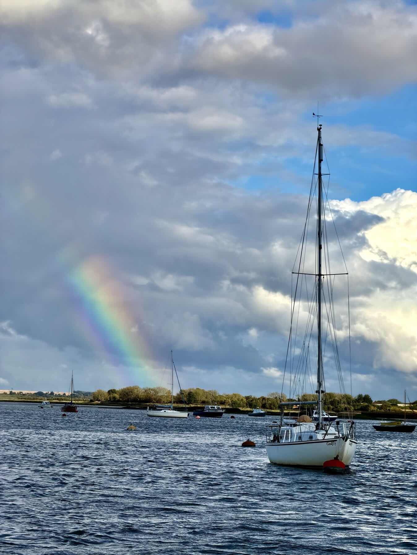 Family Sail_1AA296FB-3F51-4B69-90D2-EF9C946CCE0D