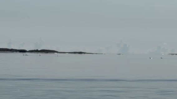 To Blankaholm from Hasselö_CB51057E-0FE7-4268-98A2-6D21AE9EDBCC