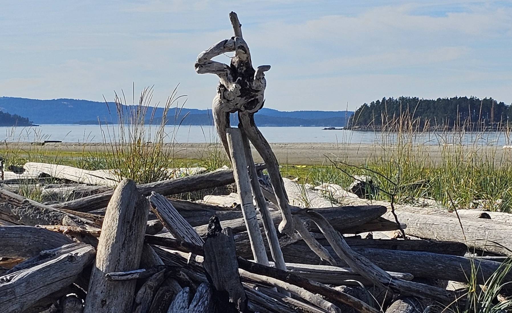 JibSet RRR Day 24
Victoria to Sidney Spit_8F507895-B8E4-4D0D-A4BE-B094BB05D5DF