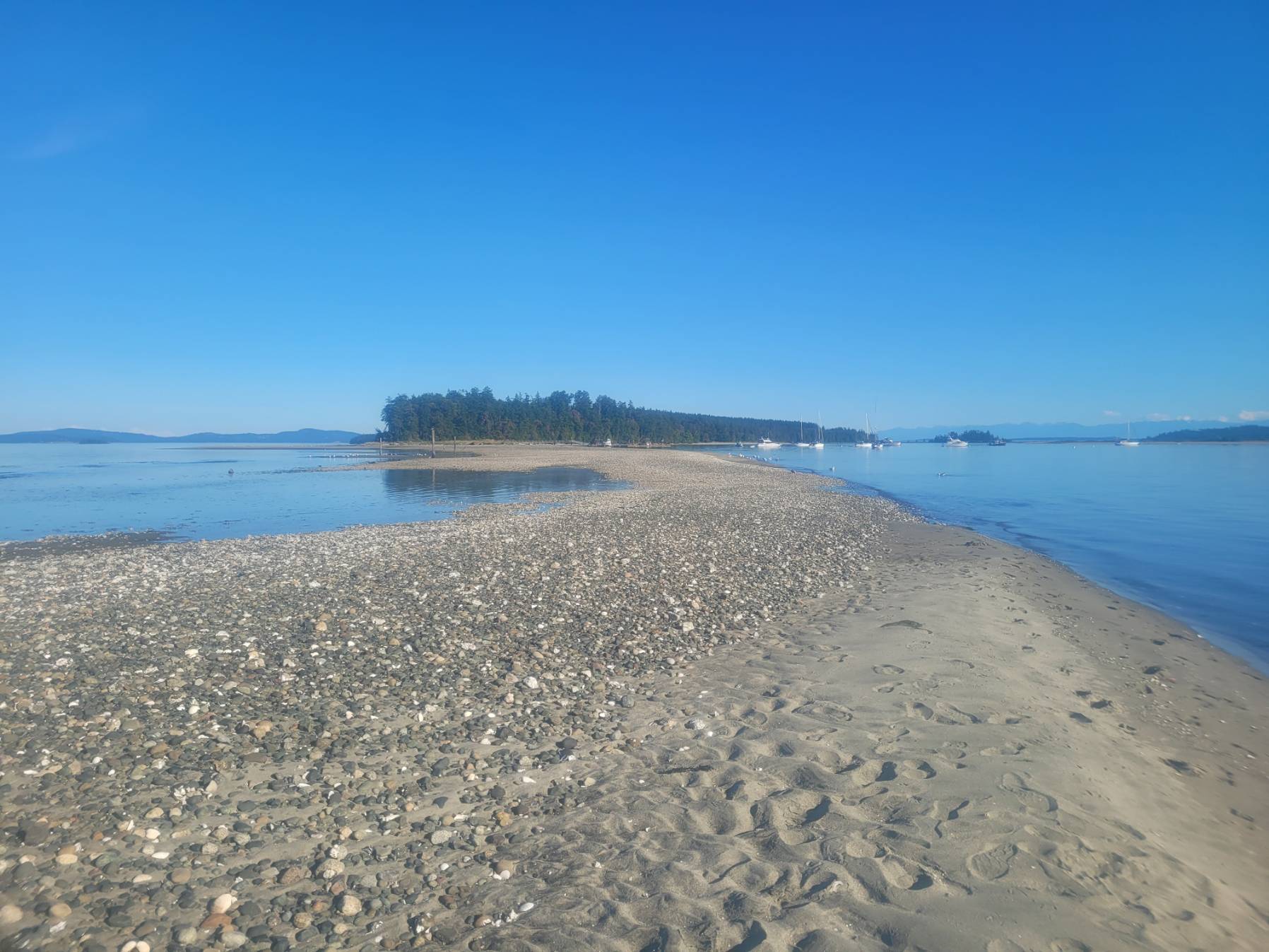 JibSet RRR Day 24
Victoria to Sidney Spit_AA2FF6EB-0F55-46B6-B8F0-4F8C744EF706
