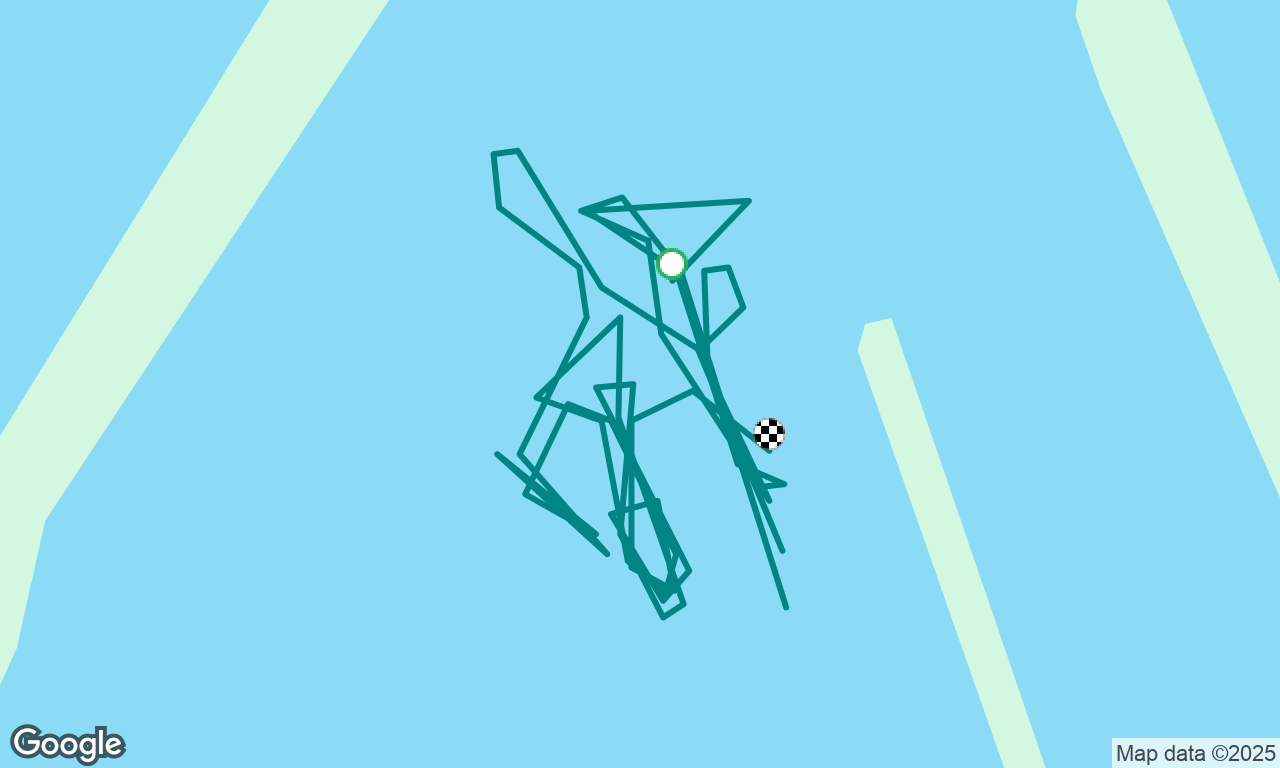 Berthing springing practice