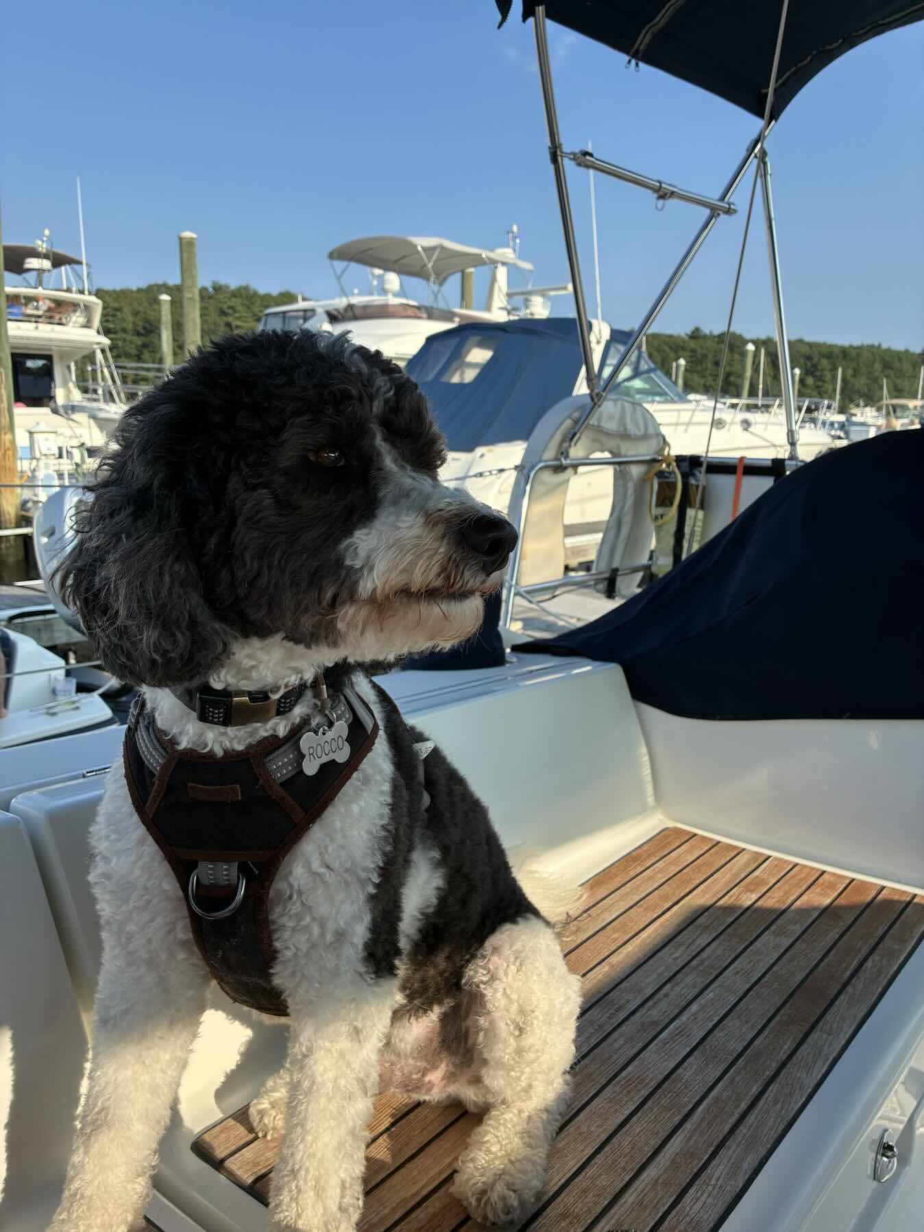 Day sail_437AF541-4E22-4786-9589-06490F5CBAD3
