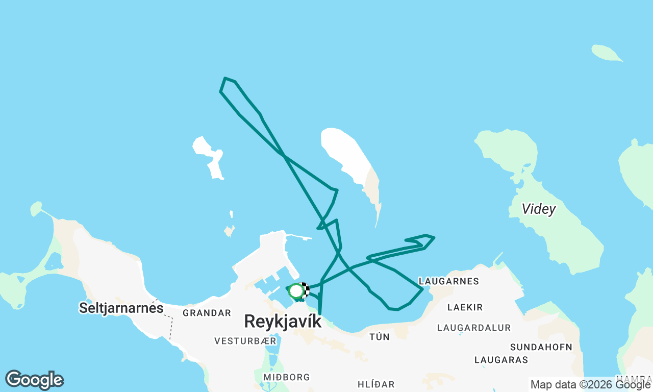 Miðvikudagssigling 26.8.2026