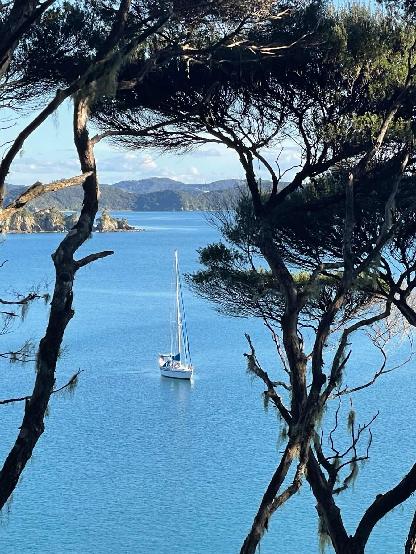 Stormy Shakedown - Opua to Paradise Bay_D19CE18F-1A89-49B9-B4D0-6D83DC3F9750