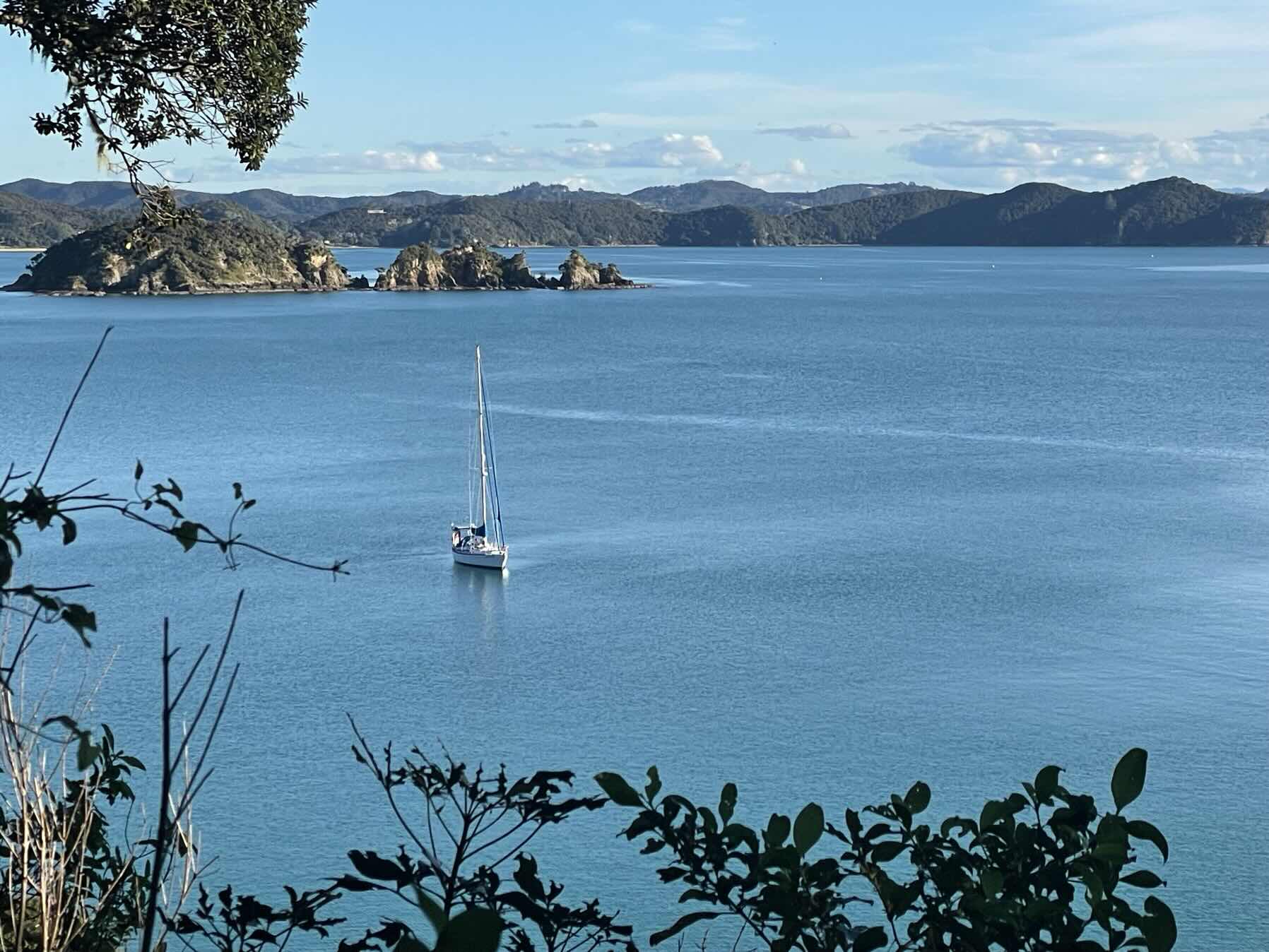 Stormy Shakedown - Opua to Paradise Bay_E06F58D1-5066-477A-B1A3-73616659A8E5