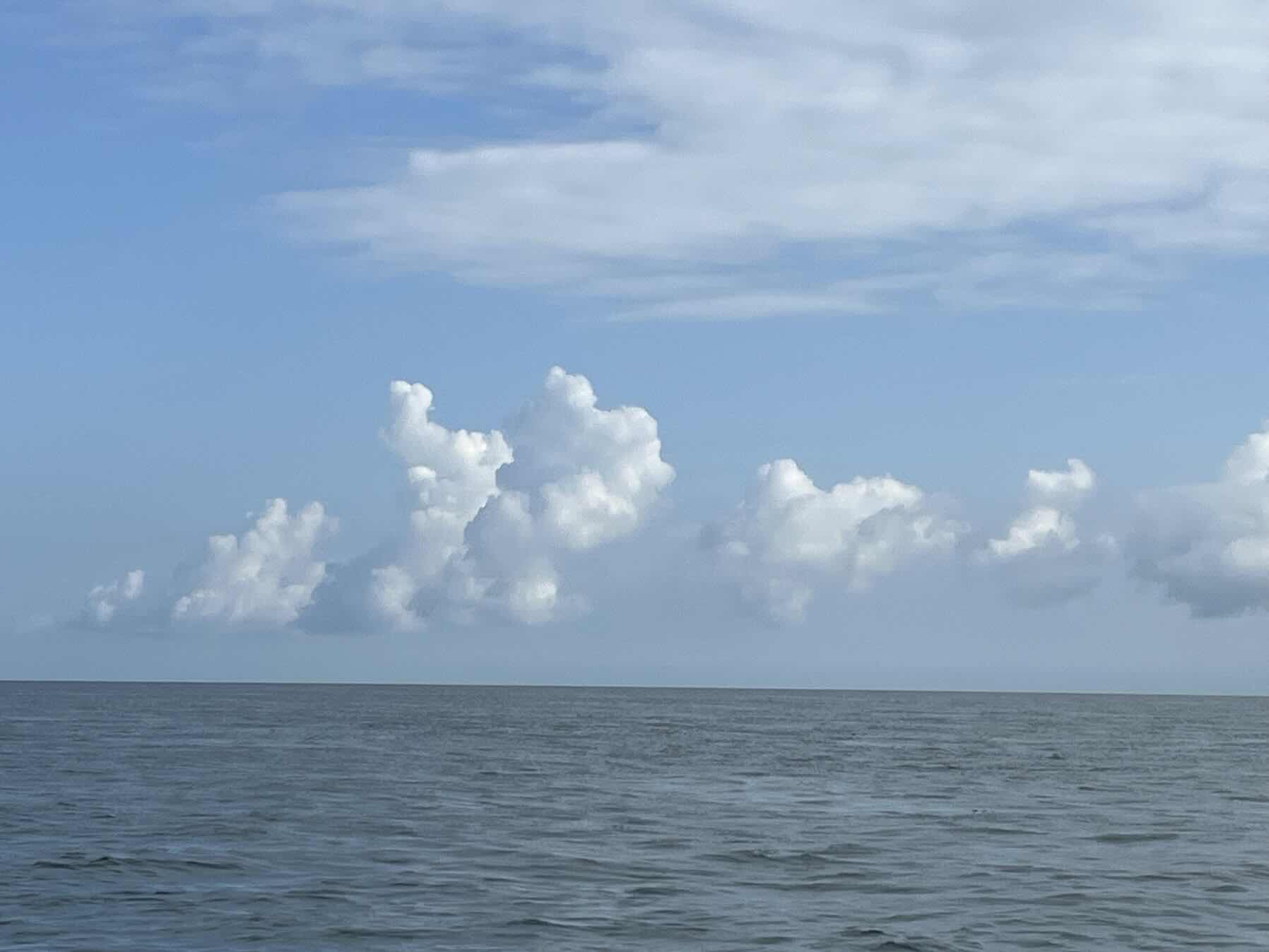 A slow sail in dying wind and strong current_272AF125-4F24-4663-B278-C4B3925C305C