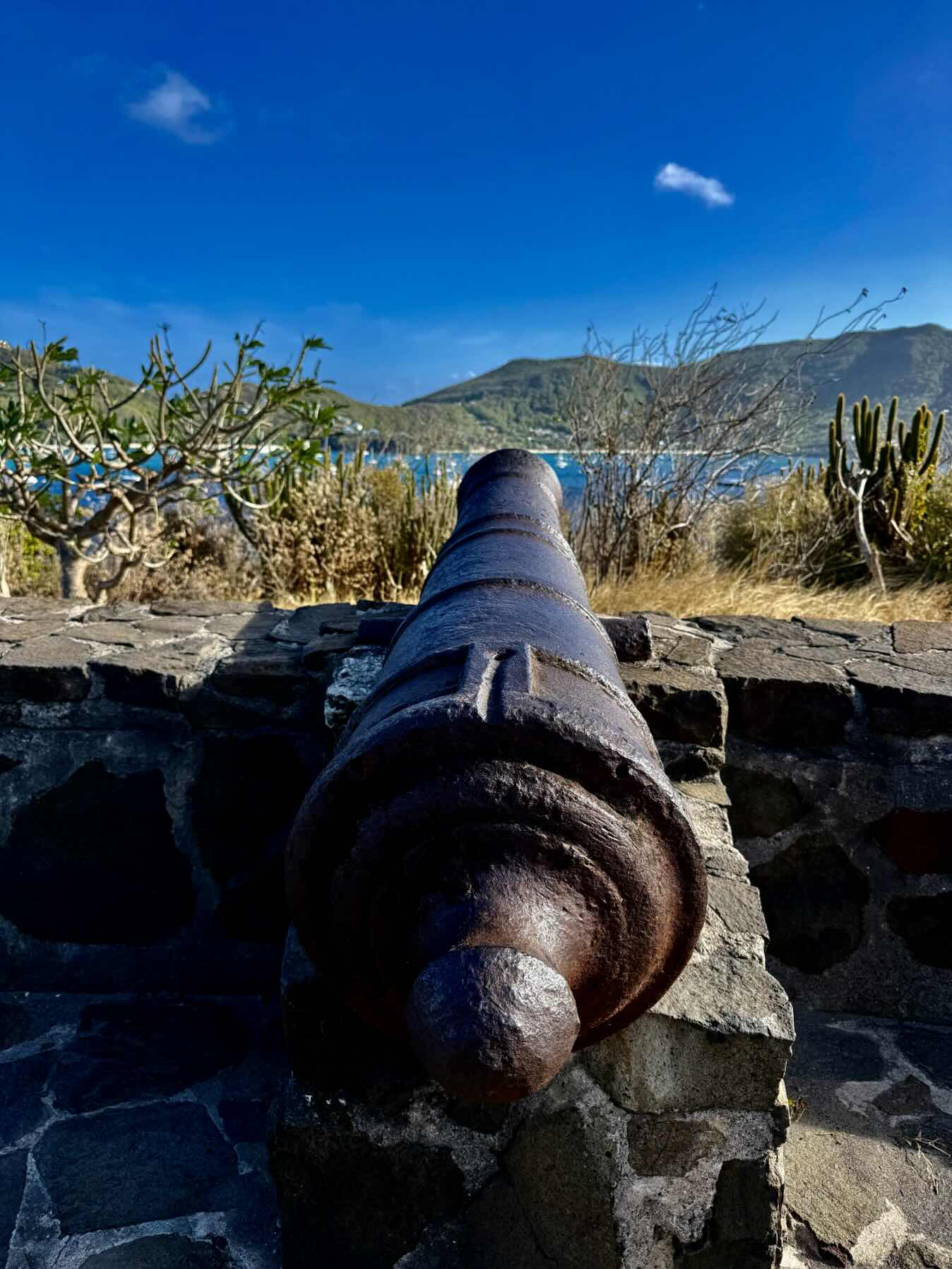 Sainte-Lucia direction Bequia : Saint-Vincent & Les Grenadines_FDE53D14-9D53-4485-B994-43EBCFC966FB