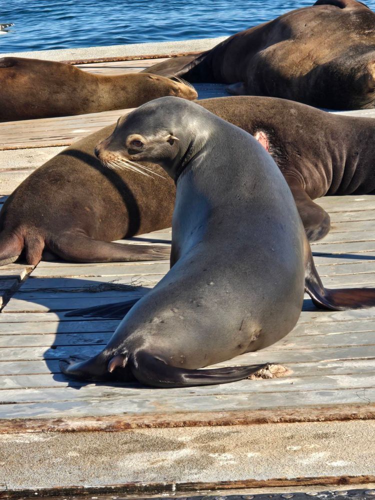 Voyage photo from sp3 with JJ on 699