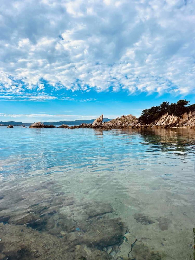 Voyage photo from Buena Onda RIB Excursions 2024 Season