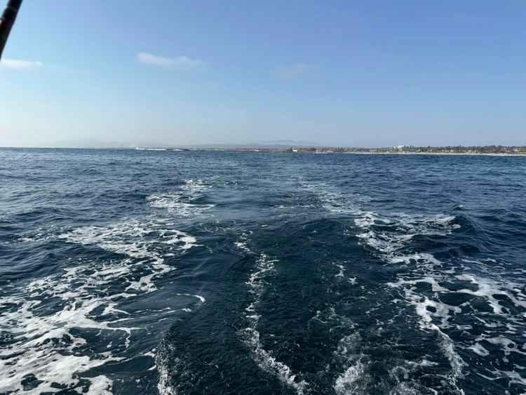 Voyage photo from Summer Night Cruise