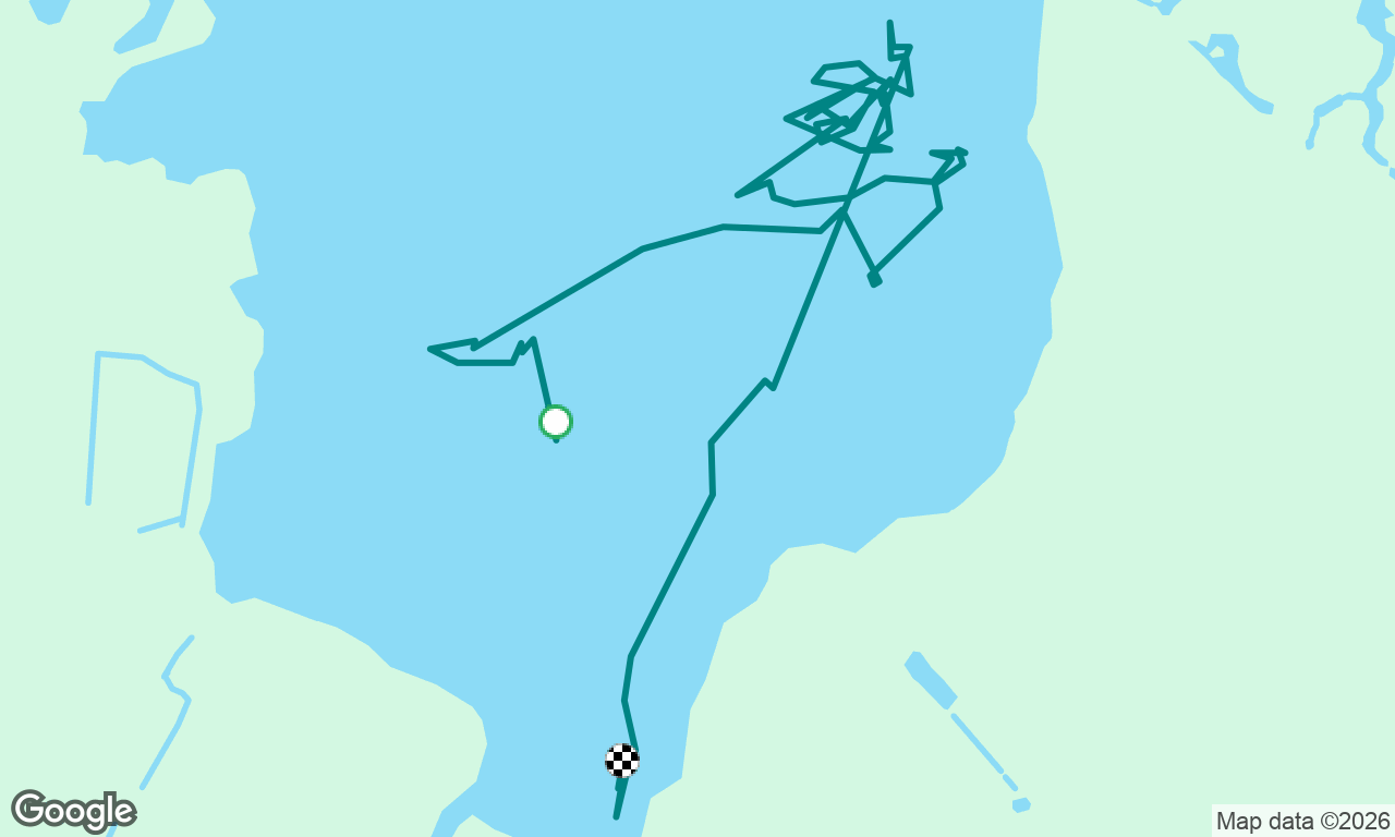Practising with Kaya - Day 3  MOB lifebuoy deploy. 