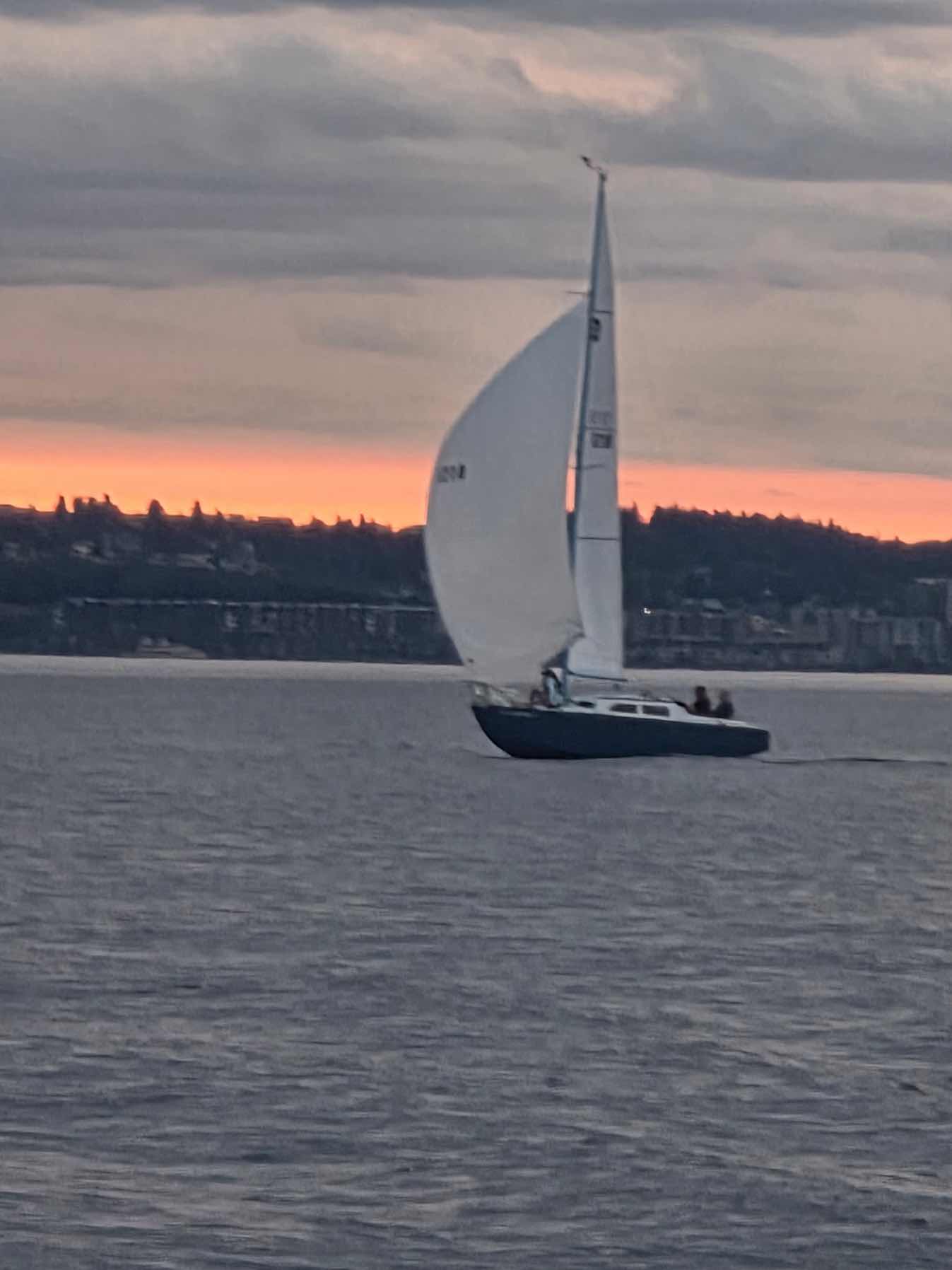 Wed night race_73223949-8199-4968-A59C-FCE2A443FBD8