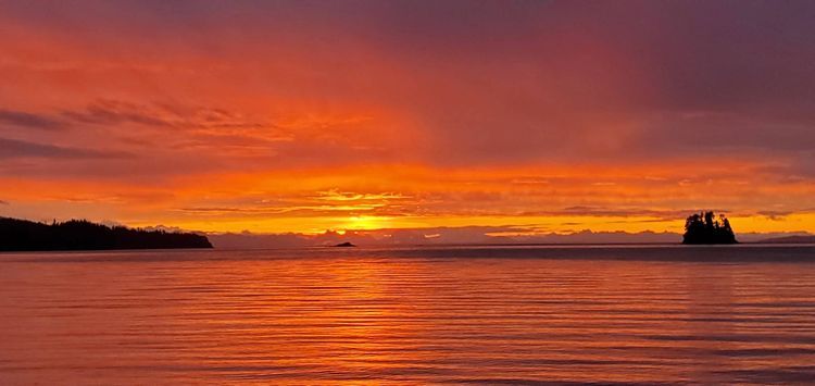 Voyage photo from Flynn Cove -Galcier Bay National Park