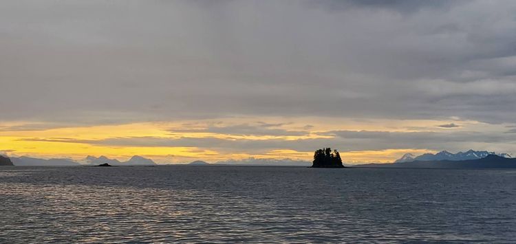 Voyage photo from Flynn Cove -Galcier Bay National Park