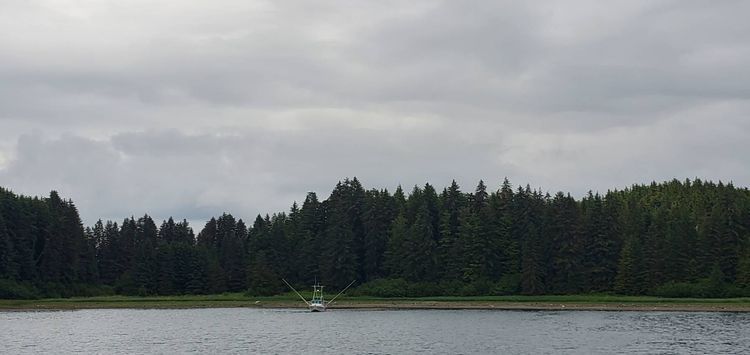 Voyage photo from Flynn Cove -Galcier Bay National Park