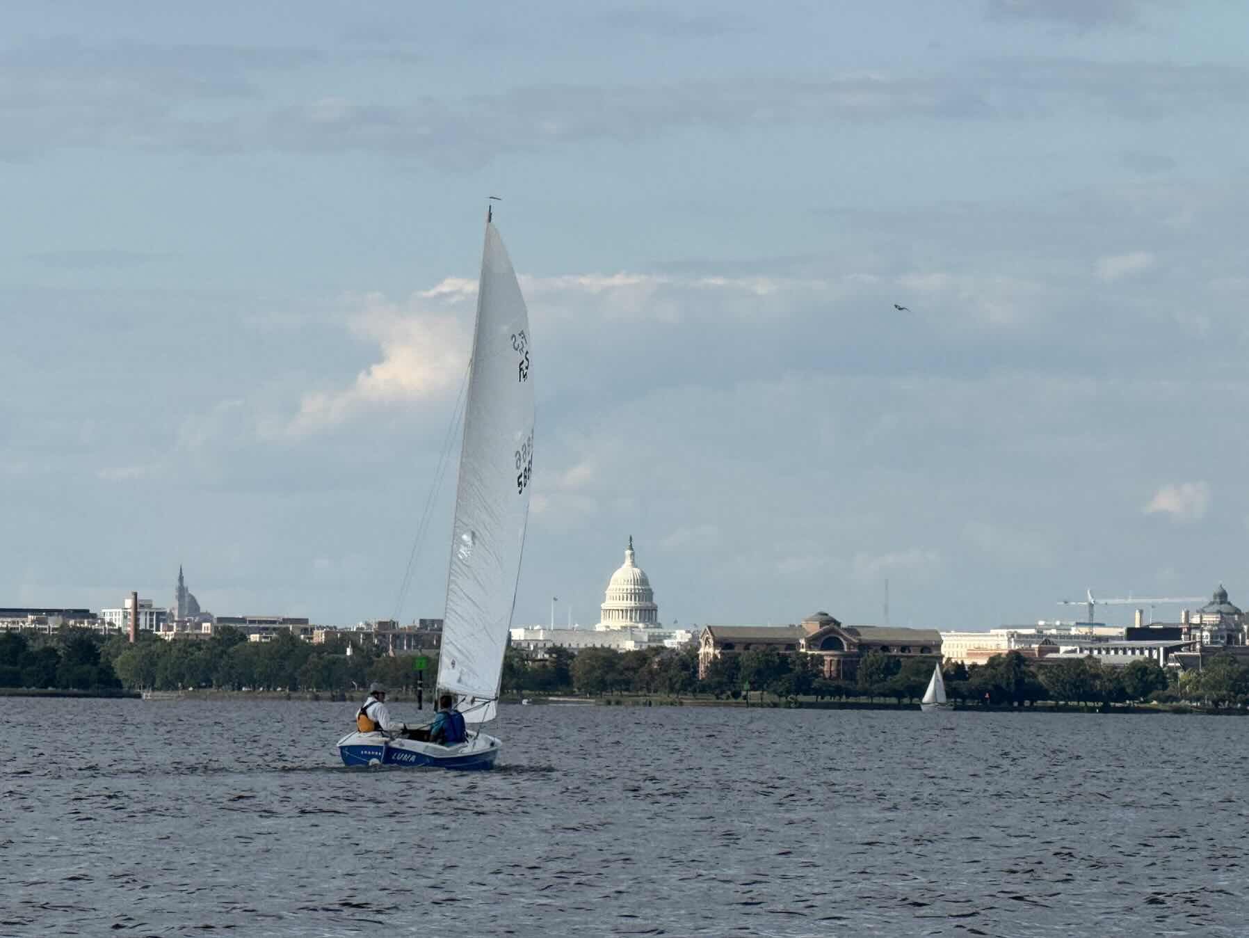 Wednesday Night SCOW club. Flying Scot_A87F3E58-3AE8-4E58-94D8-384BE23F4FD0